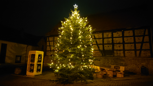 2020-11-28_Weihnachtsbaum_4.JPG